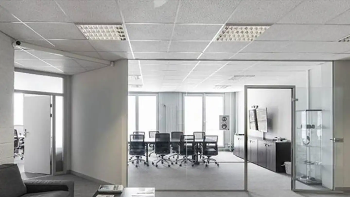 Gewerbe mieten - Chemin Des Aulx 8, 1228 Plan-les-Ouates - Foto 3