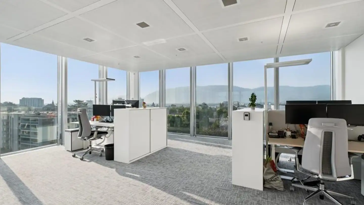 Office space for rent - Avenue Des Morgines 8, 1213 Petit-Lancy - Photo 4