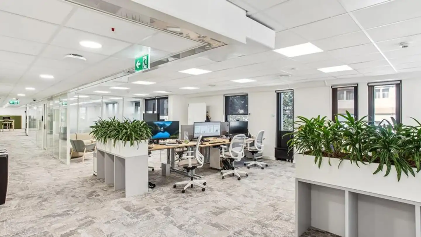 Bürofläche mieten - Avenue Industrielle 4, 1227 Carouge GE - Foto 3