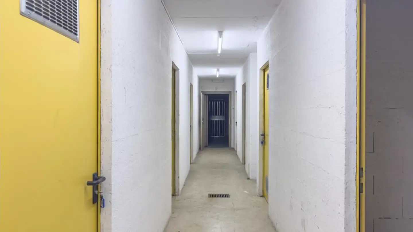 Storage space for rent - Chemin Grenet, 1214 Vernier - Photo 2