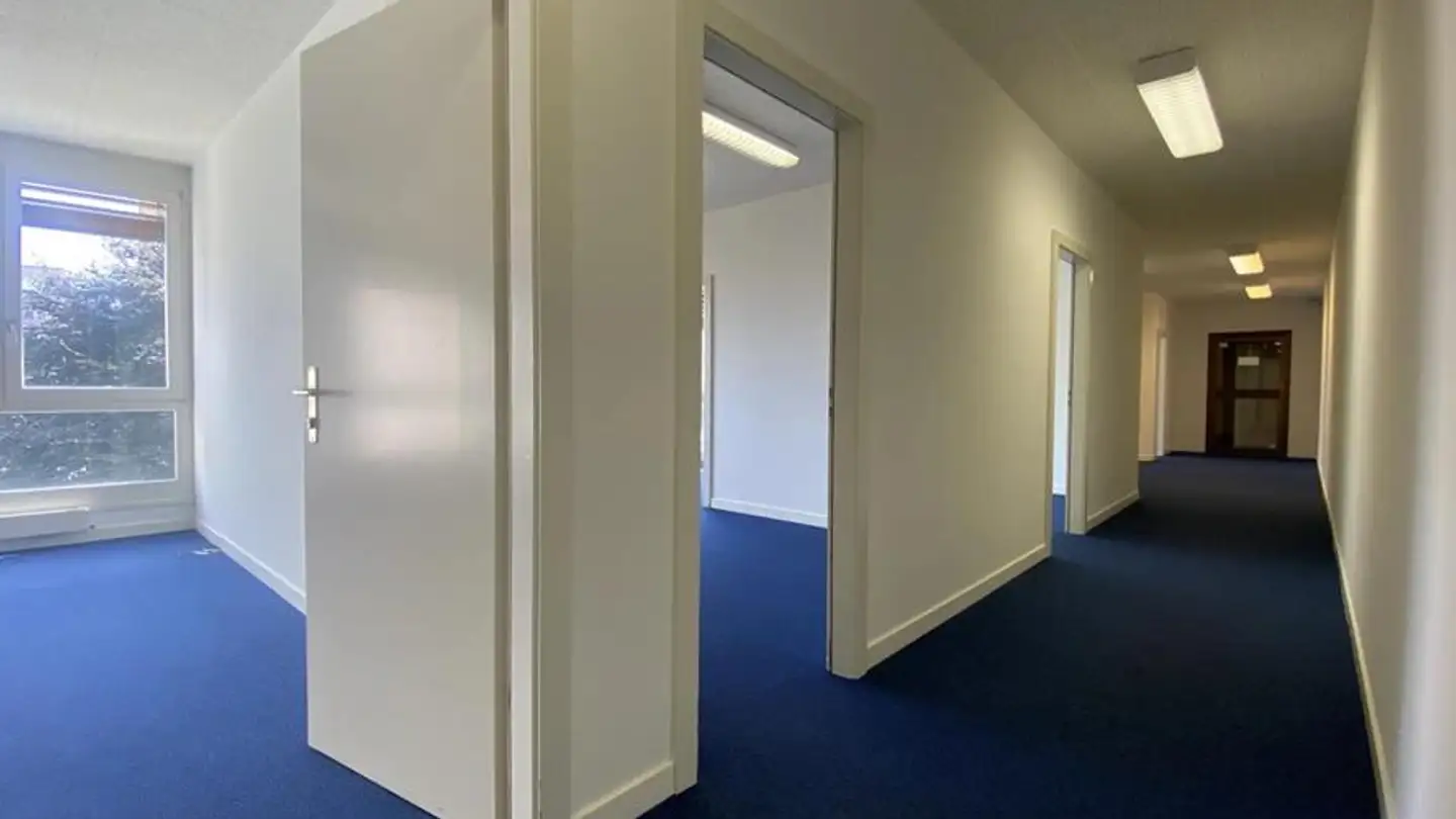 Bürofläche mieten - Rue De La Gabelle 9, 1227 Carouge GE - Foto 2