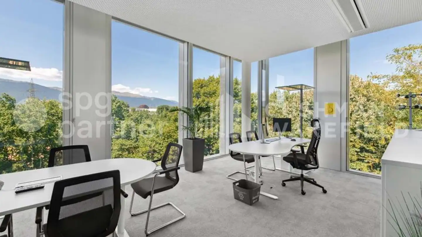 Office space for rent - Route De Meyrin, 1217 Meyrin - Photo 2