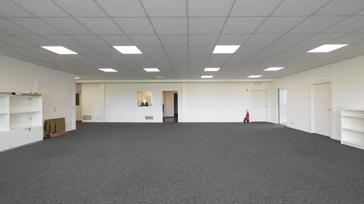 Bürofläche mieten - Chemin Des Aulx 12, 1228 Plan-les-Ouates - Foto 4