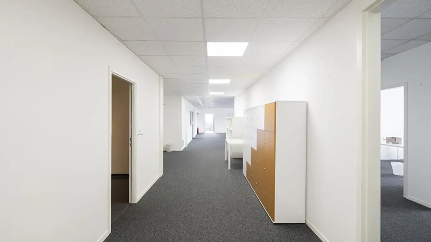 Bürofläche mieten - Chemin Des Aulx 12, 1228 Plan-les-Ouates - Foto 3