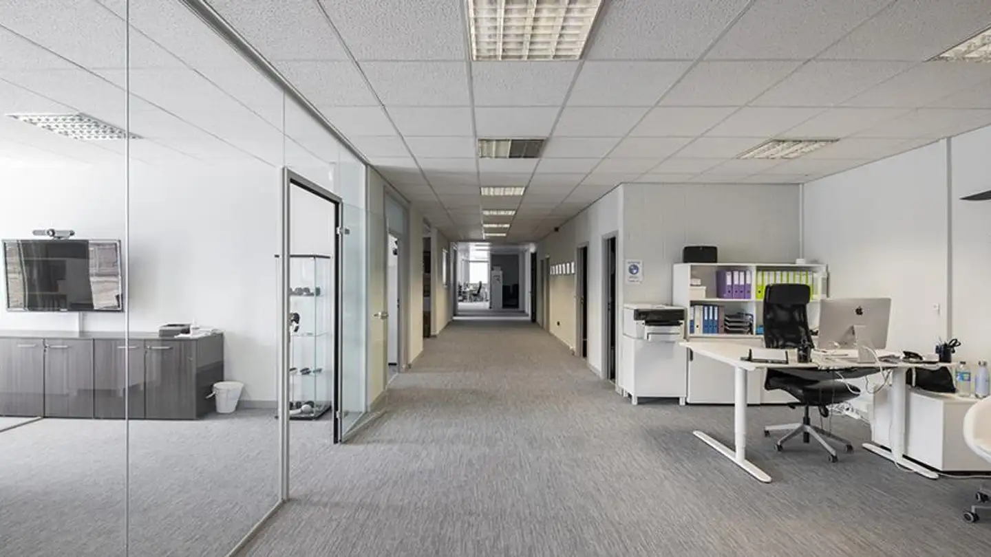 Bürofläche mieten - Chemin Des Aulx 12, 1228 Plan-les-Ouates - Foto 2