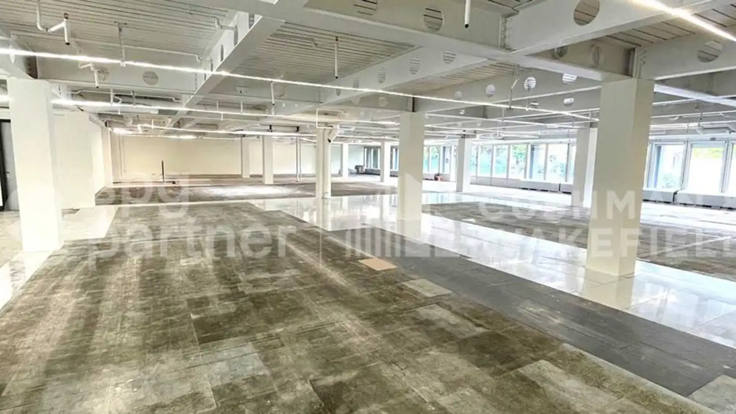 Commercial for rent - Chemin De Brillancourt 4, 1006 Lausanne - Photo 4