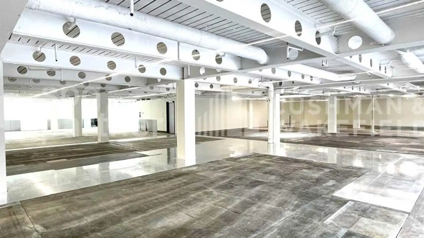 Commerciale in affitto - Chemin De Brillancourt 4, 1006 Lausanne - Foto 4