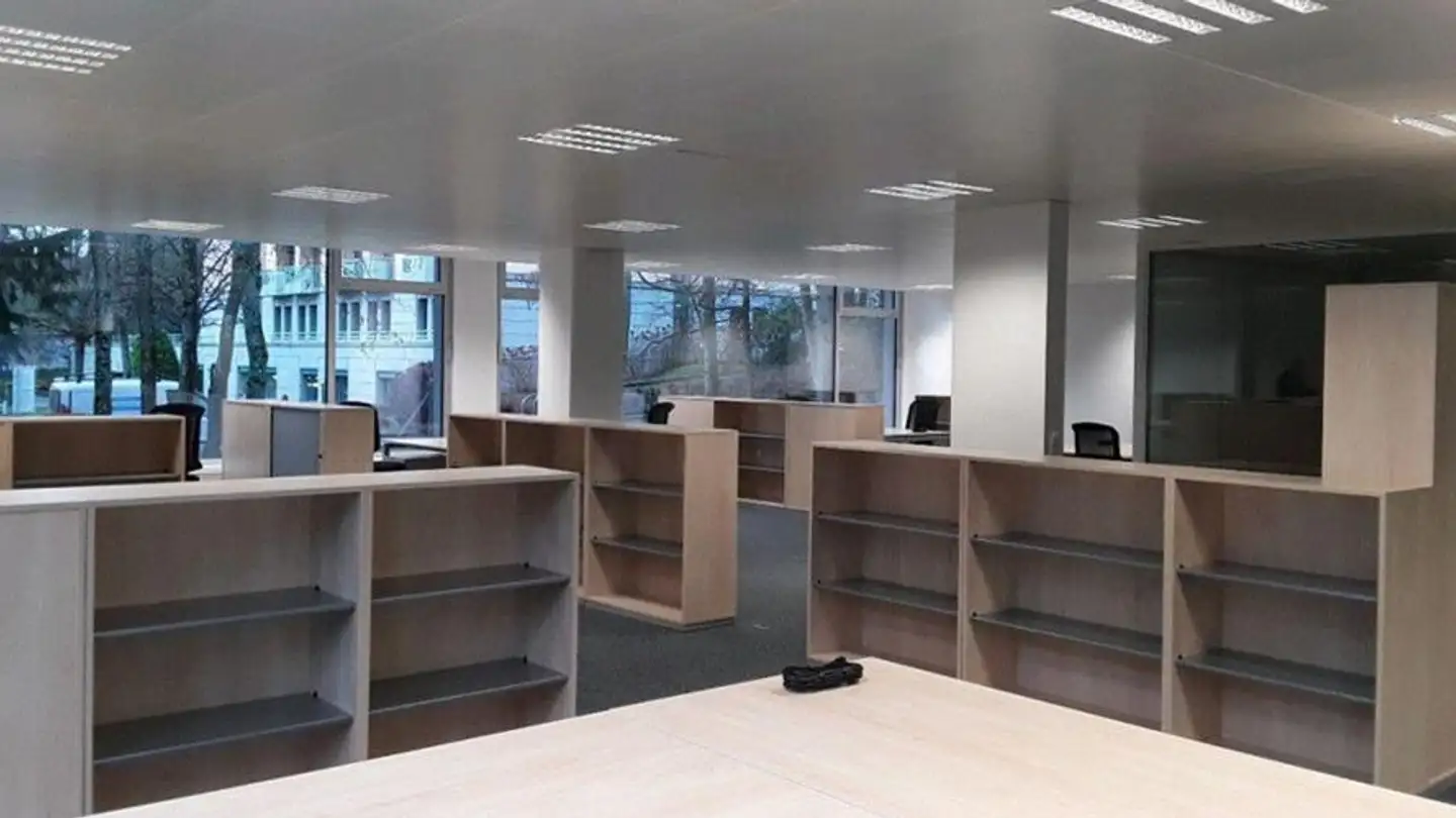 Spazio ufficio in affitto - Chemin Ami- Argand 9, 1290 Versoix - Foto 4