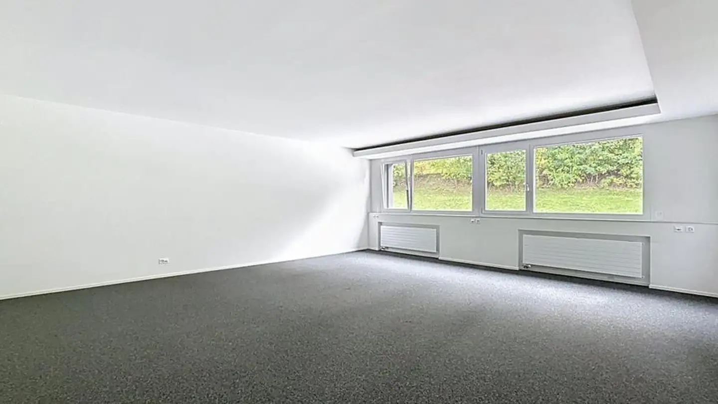 Office space for rent - Zone Industrielle D'in-Riaux 30, 1728 Rossens FR - Photo 4