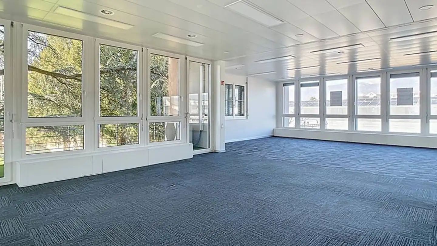 Office space for rent - Avenue Reverdil 12, 1260 Nyon - Photo 4