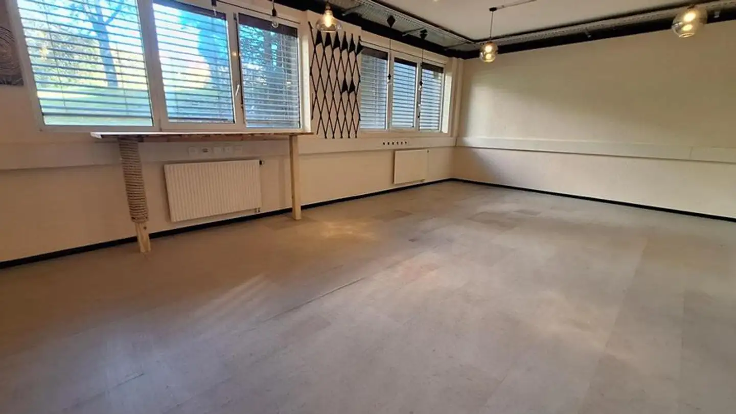 Commerciale in affitto - Avenue Des Boveresses 42, 1010 Lausanne - Foto 3