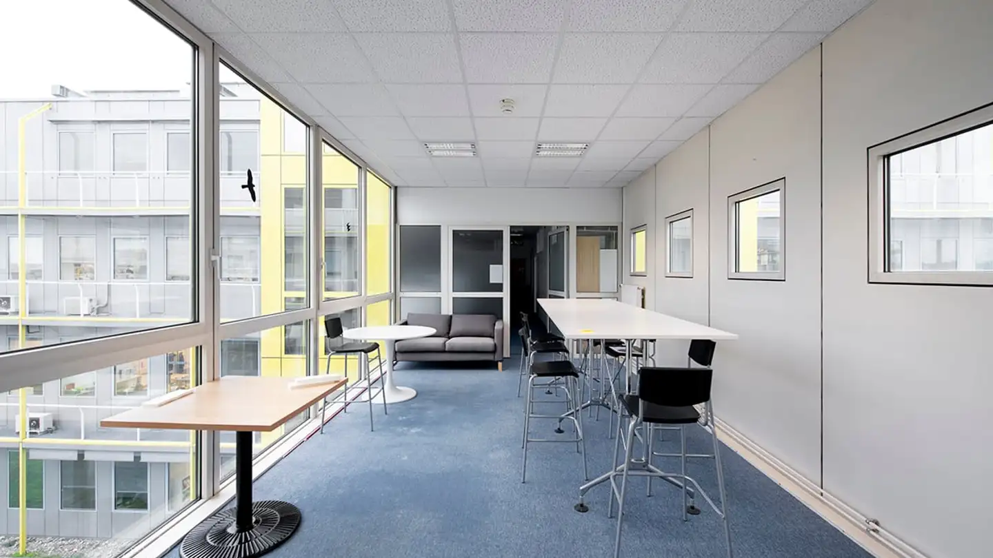 Office space for rent - Chemin Des Aulx 12, 1228 Plan-les-Ouates