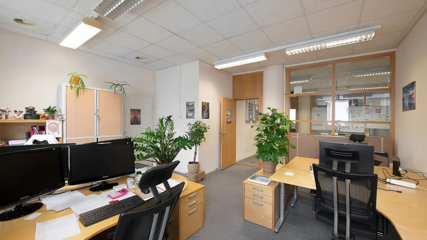 Gewerbe mieten - Chemin Des Aulx 16, 1228 Plan-les-Ouates - Foto 2