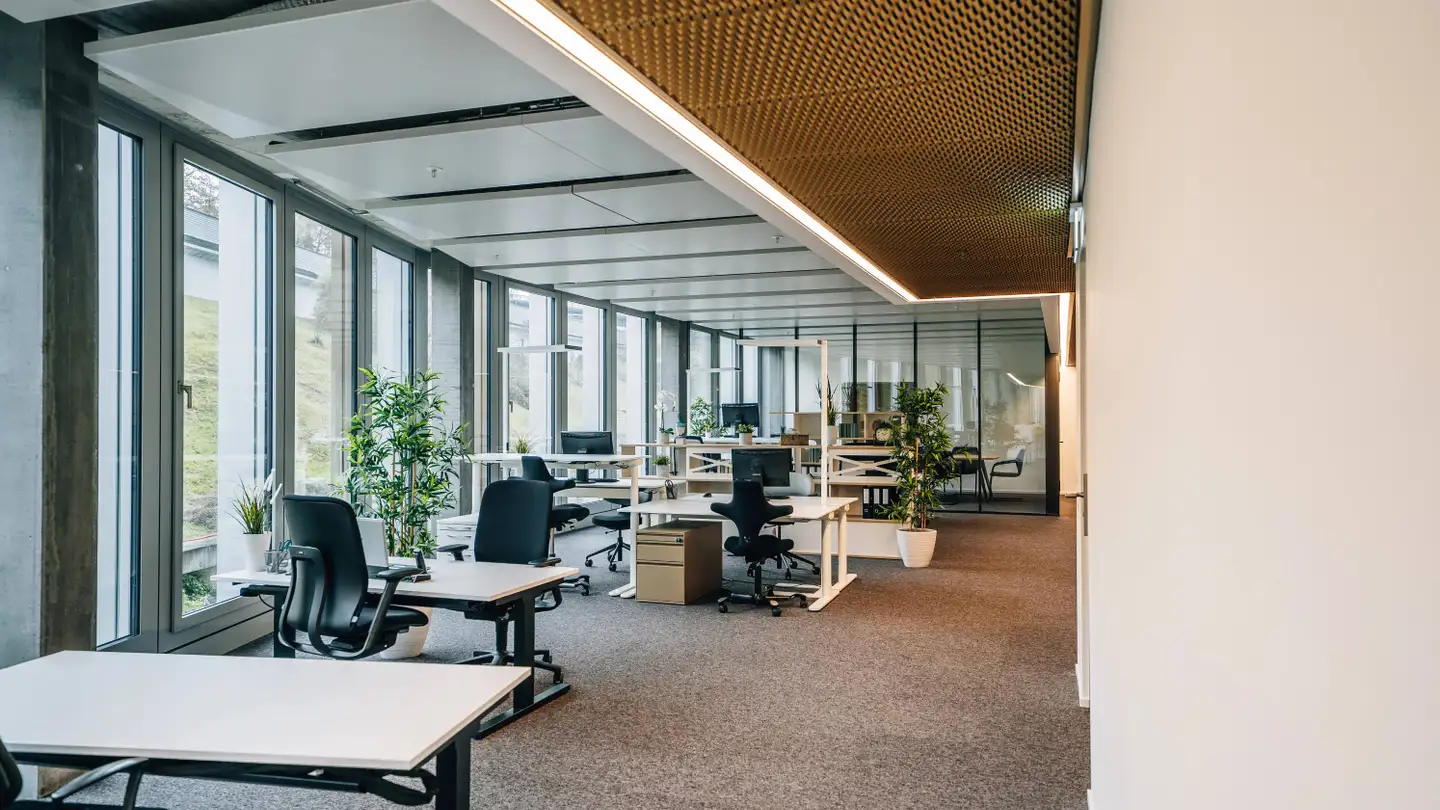 Bureau à louer - Maneggstrasse 33, 8041 Zürich - Photo 2