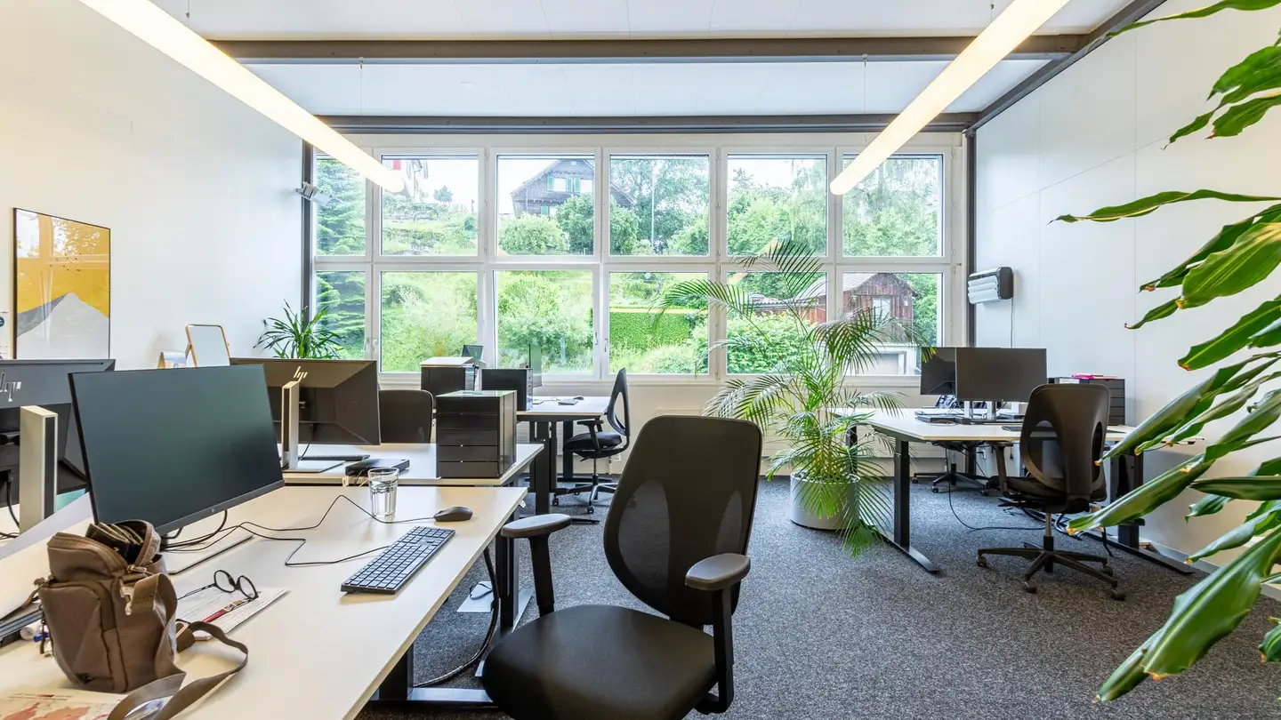 Commercial à louer - Walzmühlestrasse 50, 8500 Frauenfeld - Photo 4