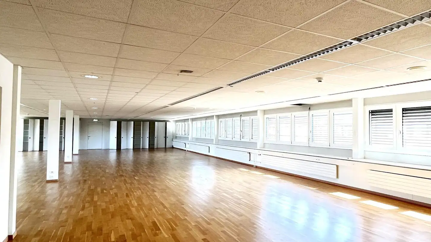 Commercial for rent - Mandachstrasse 50, 8155 Niederhasli