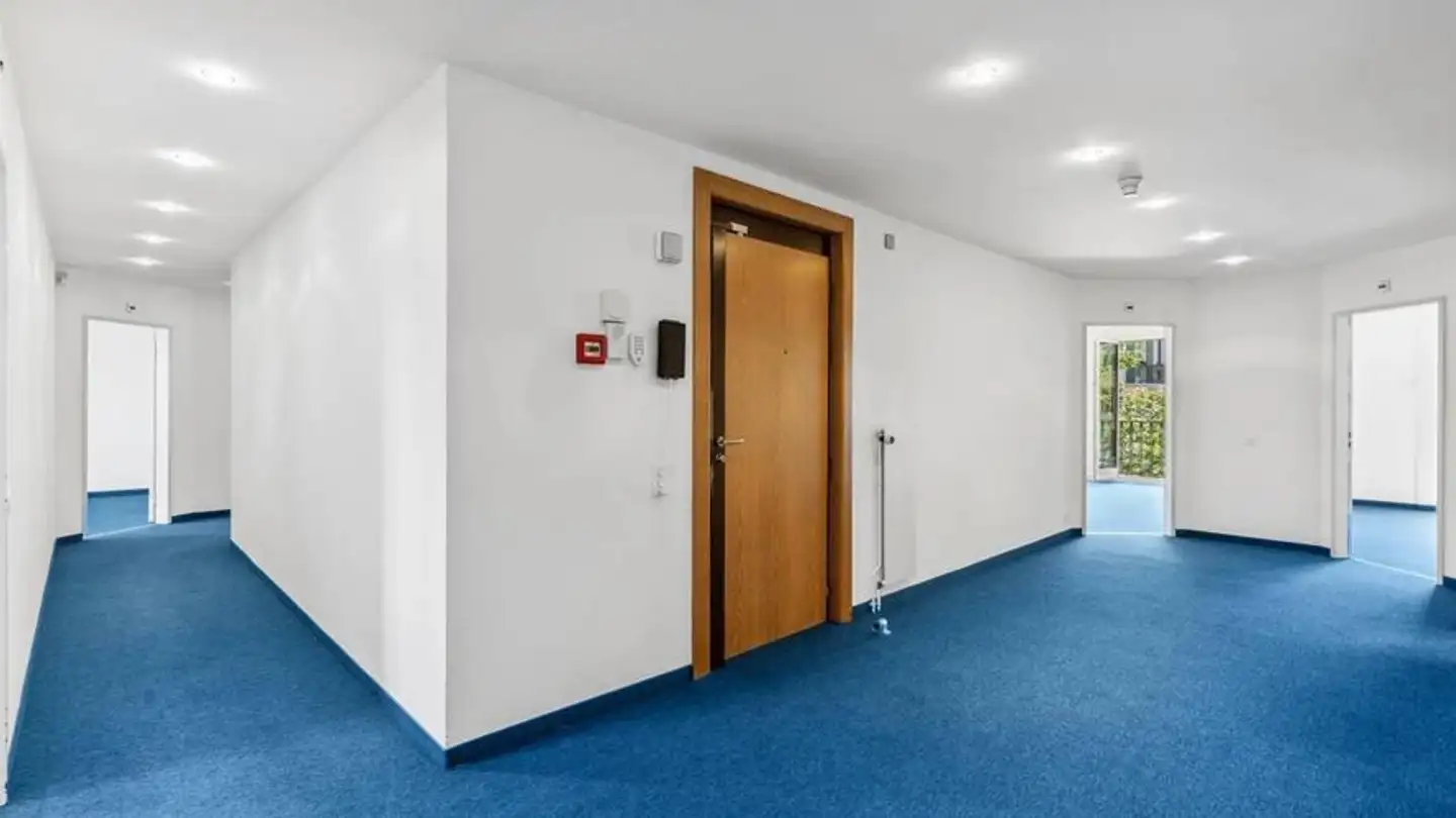 Office space for rent - Route De Malagnou 6, 1208 Genève - Photo 2