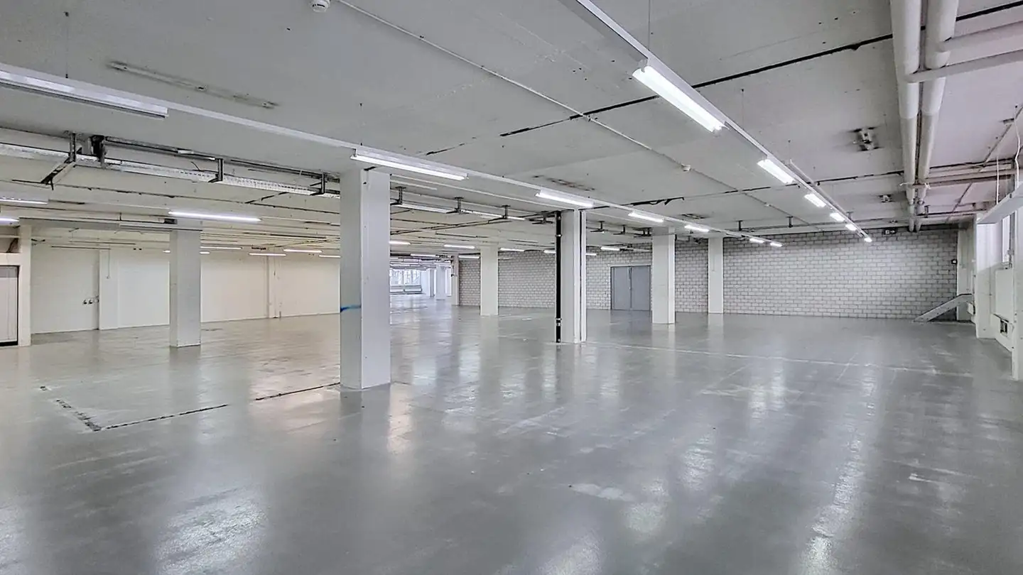 Commercial à louer - Gewerbestrasse 16, 8132 Egg b. Zürich - Photo 2