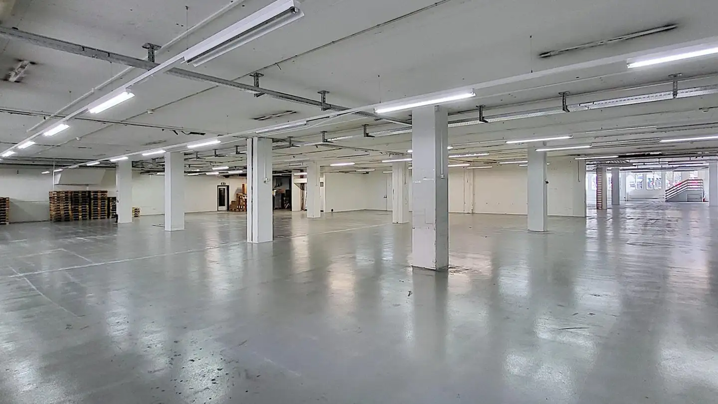 Commercial à louer - Gewerbestrasse 16, 8132 Egg b. Zürich - Photo 4