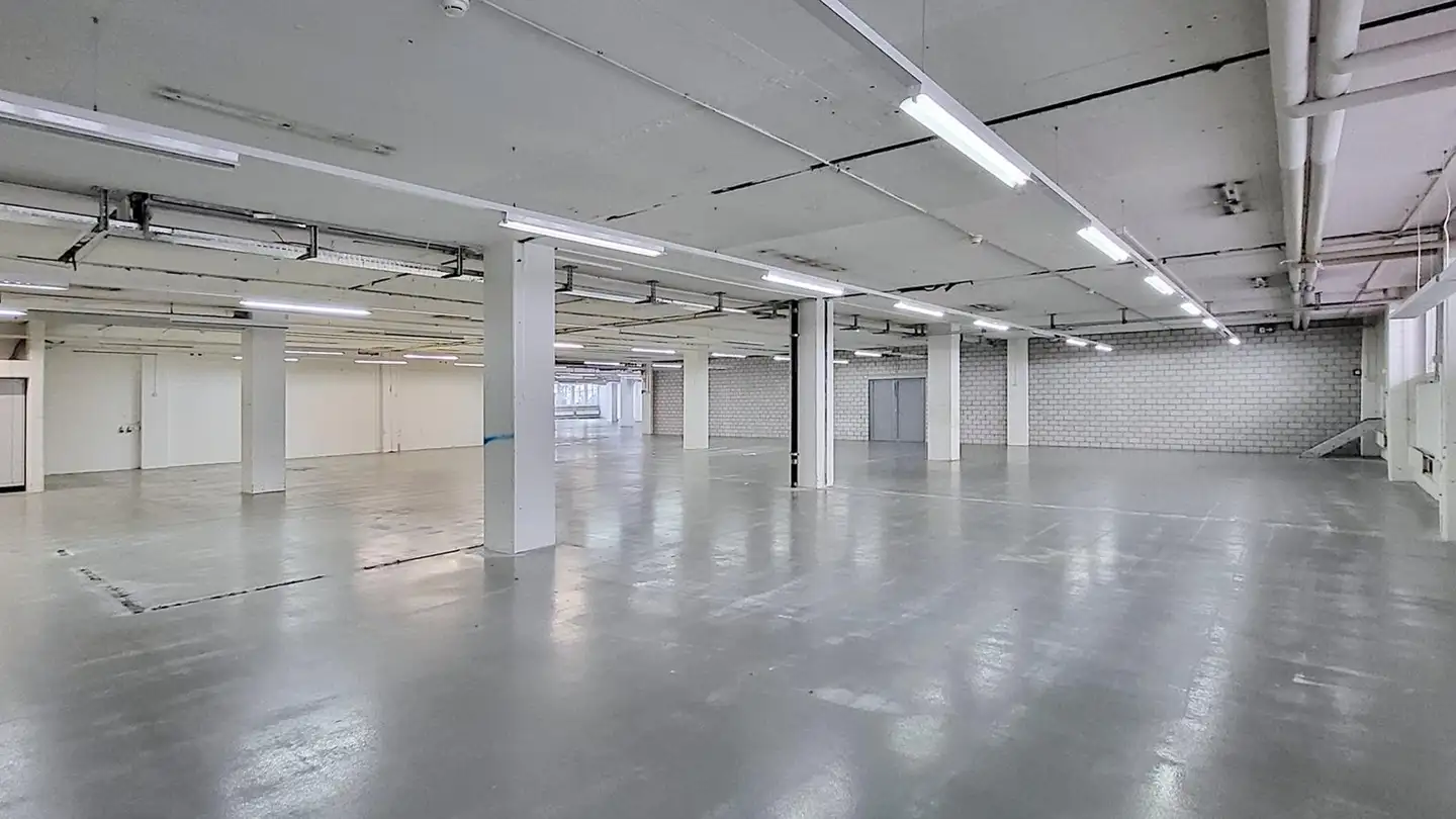 Lagerraum mieten - Gewerbestrasse 16, 8132 Egg b. Zürich
