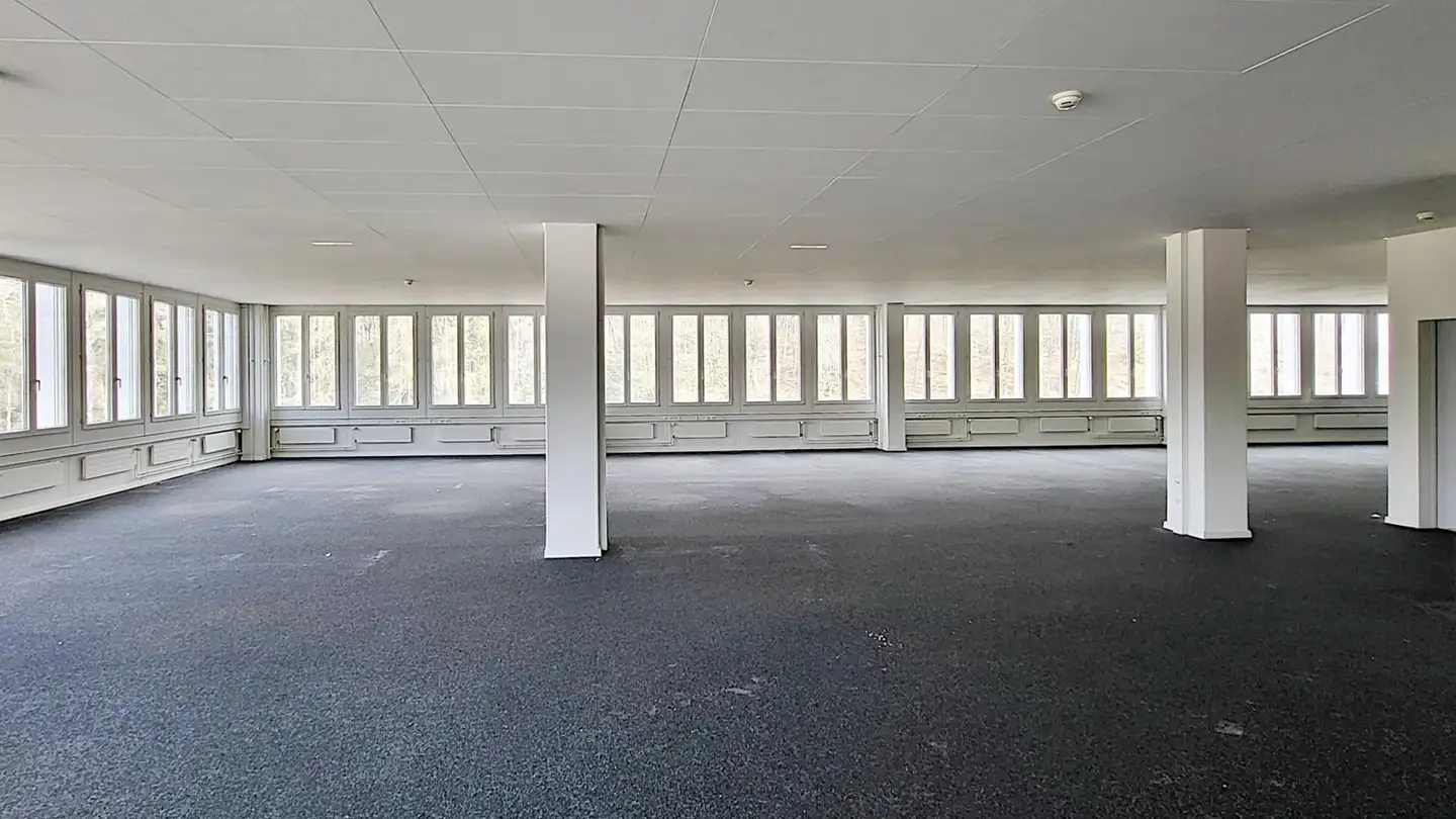 Bureau à louer - Gewerbestrasse 16, 8132 Egg b. Zürich - Photo 2