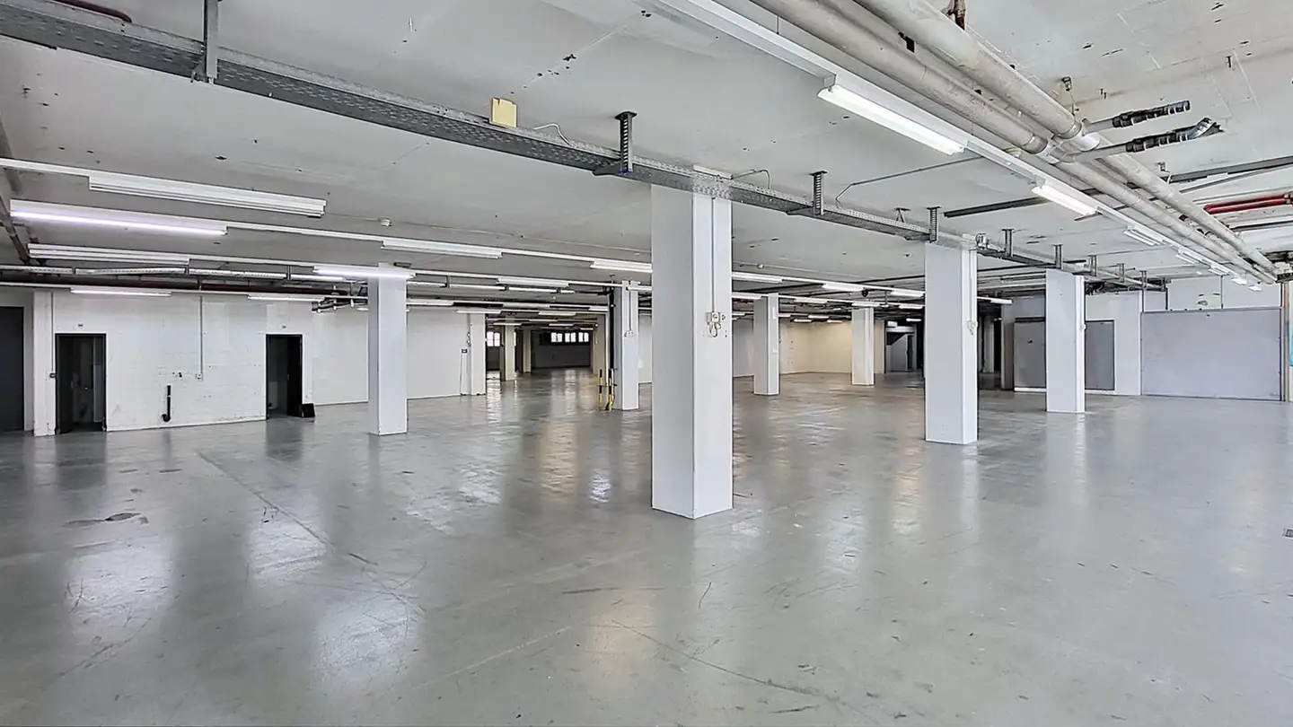 Commercial à louer - Gewerbestrasse 16, 8132 Egg b. Zürich - Photo 2