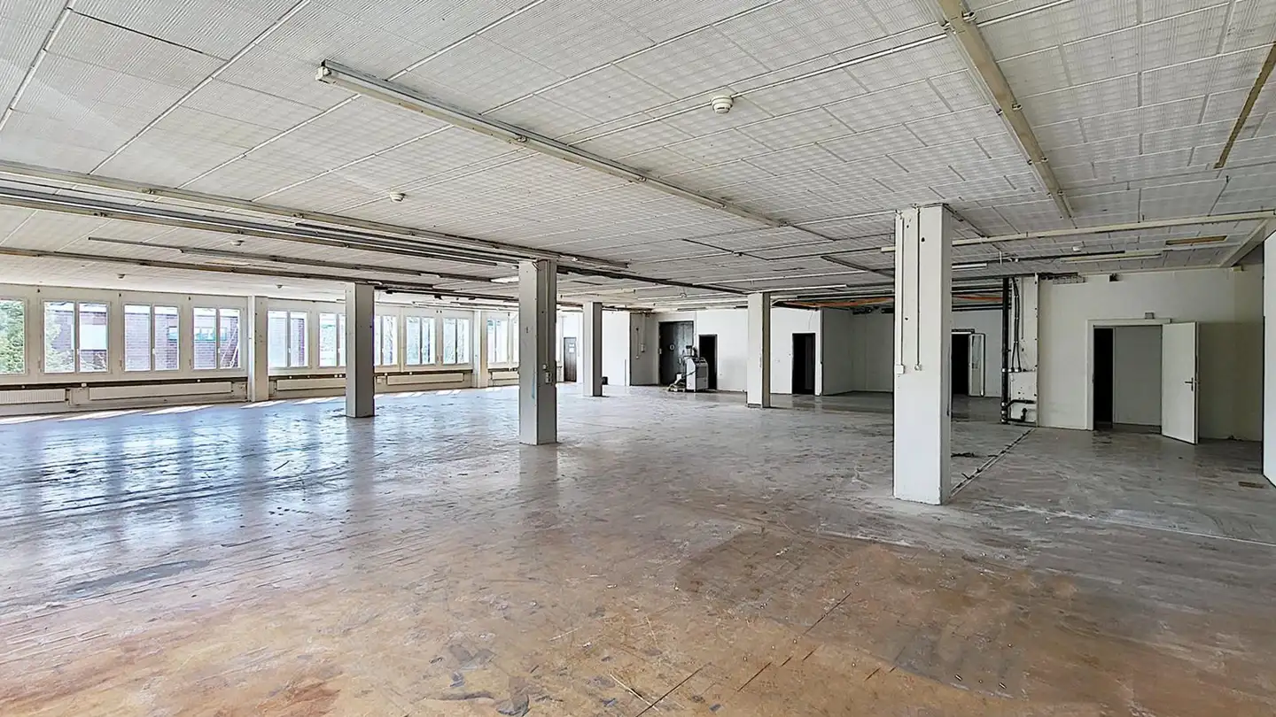 Commercial à louer - Gewerbestrasse 16, 8132 Egg b. Zürich - Photo 4