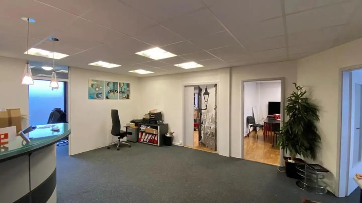 Commercial for rent - Chemin De La Gravière 9, 1225 Chêne-Bourg - Photo 3