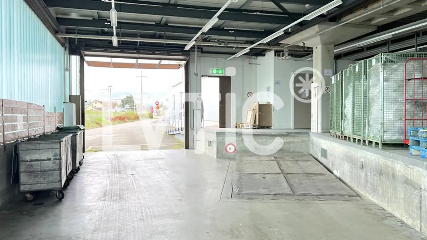 Commerciale in affitto - Etoy, 1163 Etoy - Foto 4