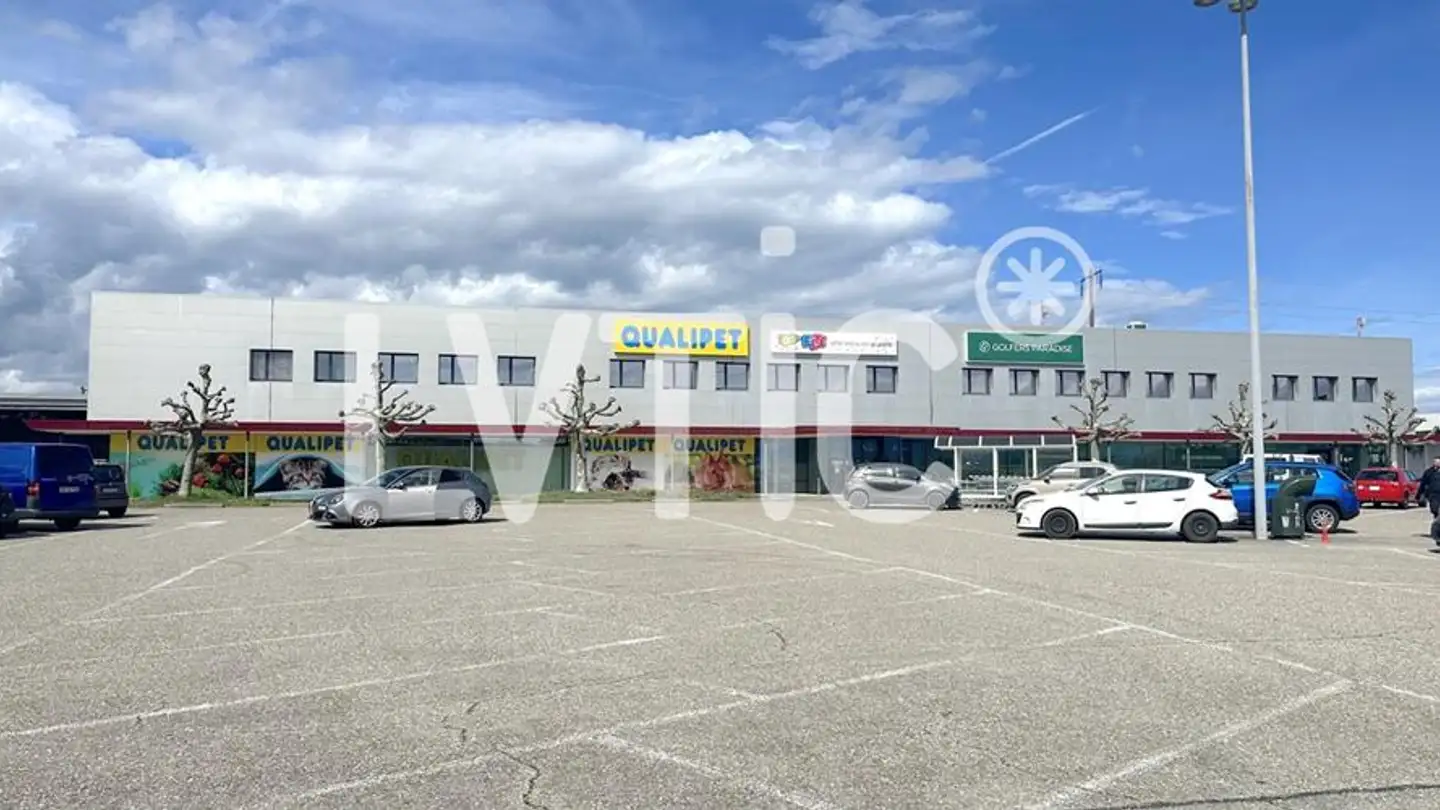 Commerciale in affitto - Etoy, 1163 Etoy - Foto 2