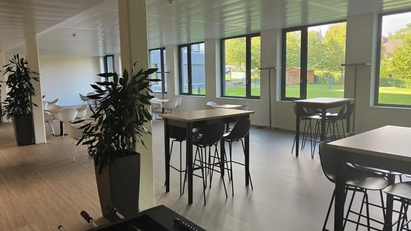 Commercial for rent - Route De Suisse 162, 1290 Versoix - Photo 3