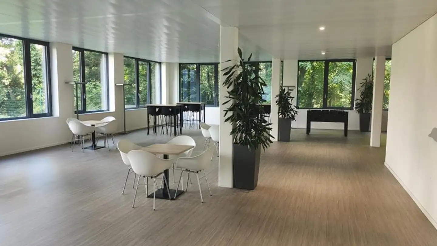 Commercial for rent - Route De Suisse 162, 1290 Versoix - Photo 2