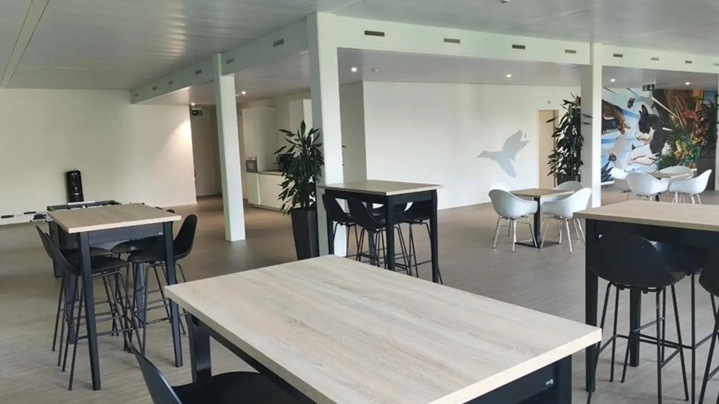 Commercial for rent - Route De Suisse 162, 1290 Versoix - Photo 4