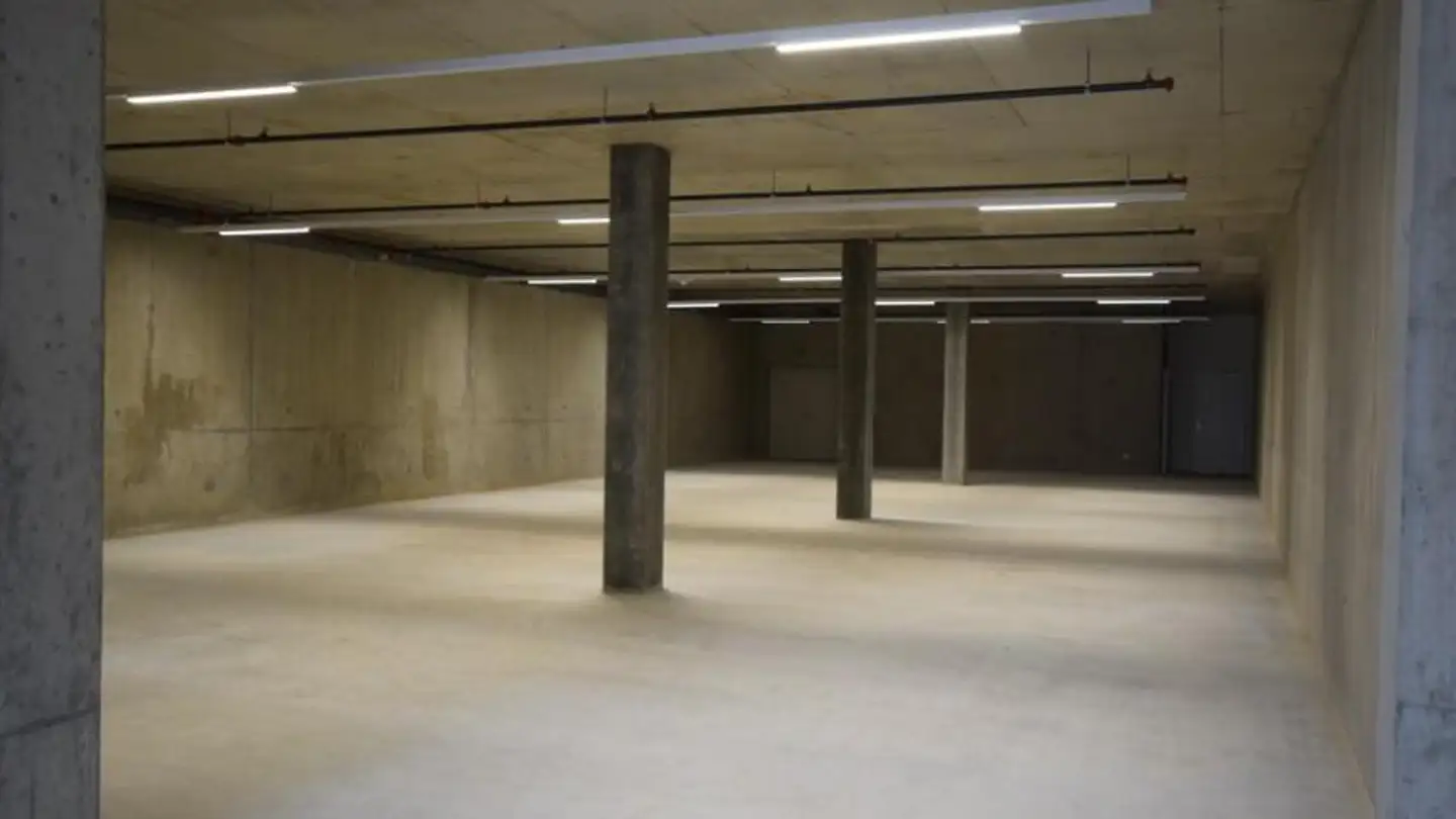 Commerciale in affitto - Route Des Fayards 280, 1290 Versoix - Foto 4