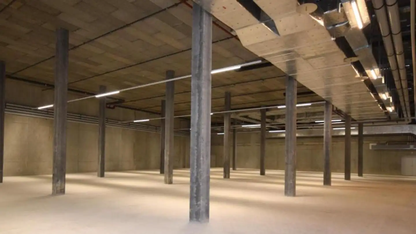 Commercial for rent - Route Des Fayards 280, 1290 Versoix - Photo 4