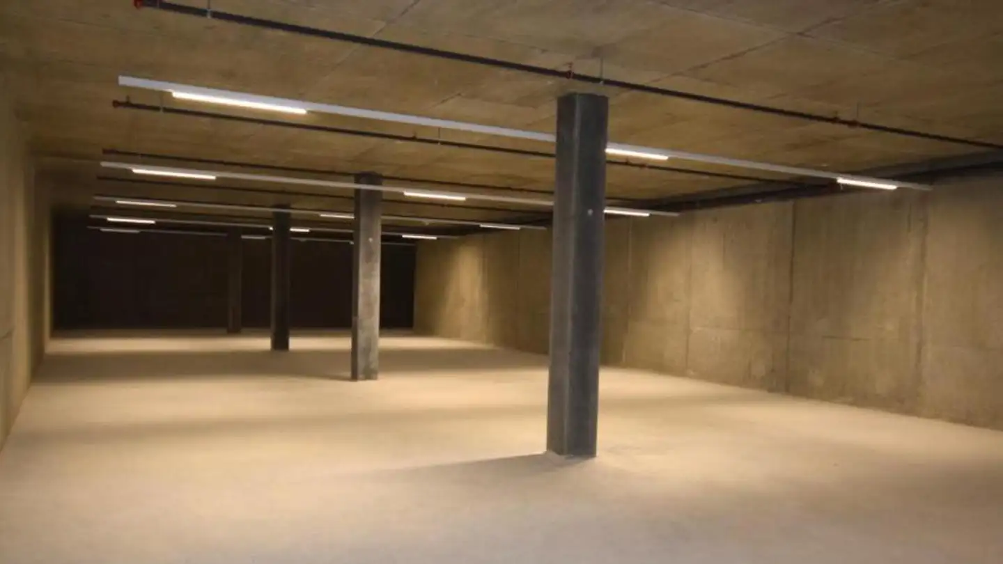 Commercial for rent - Route Des Fayards 280, 1290 Versoix - Photo 3