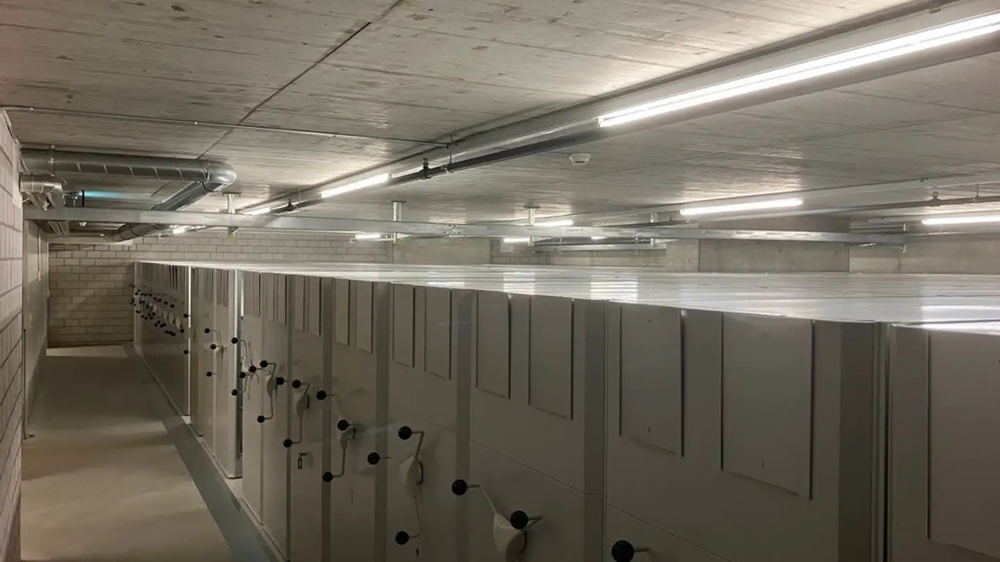 Storage space for rent - Schärenmoosstrasse 99, 8052 Zürich
