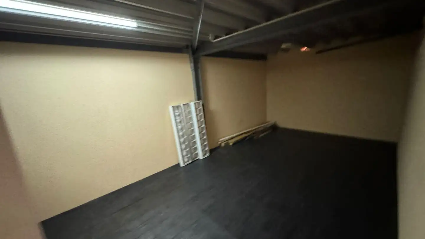 Gewerbe mieten - Kanalstrasse 17, 4415 Lausen - Foto 3