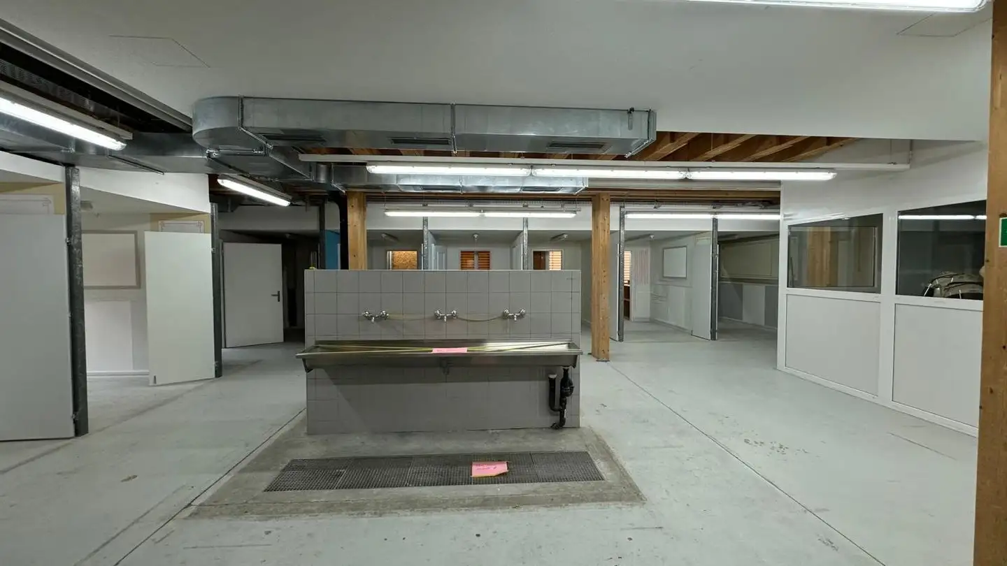 Commerciale in affitto - Kanalstrasse 17, 4415 Lausen - Foto 4