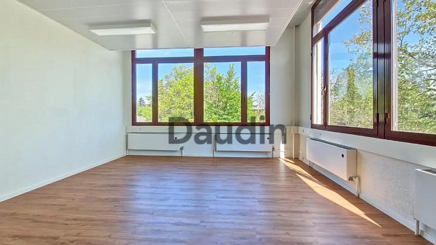Bureau à louer - Rue Du Cardinal- Journet 27, 1217 Meyrin