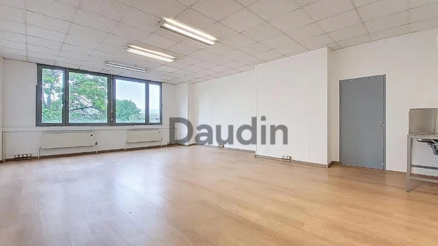 Office space for rent - Rue Du Cardinal- Journet 27, 1217 Meyrin - Photo 3