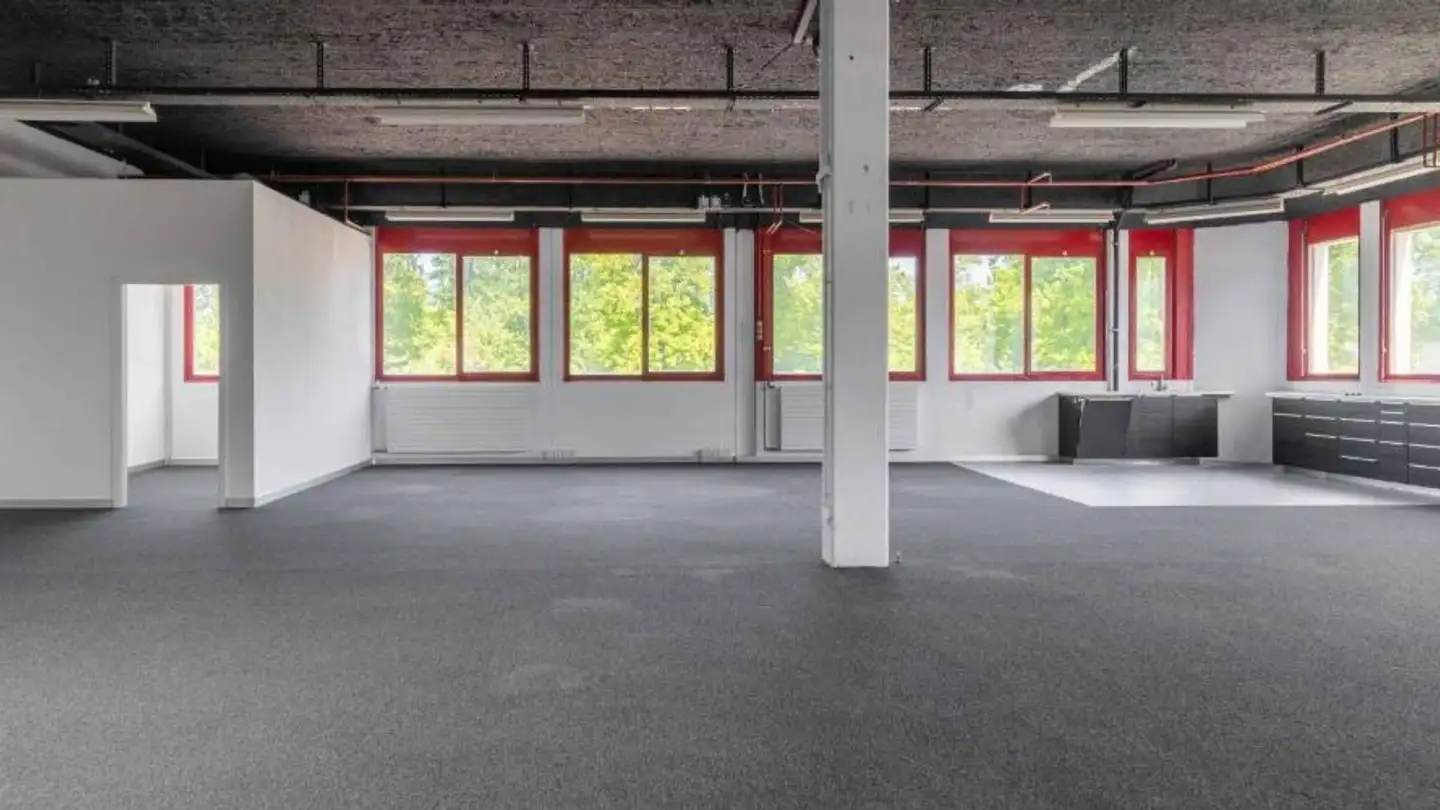 Commercial for rent - Chemin Du Grand-Puits 40, 1217 Meyrin
