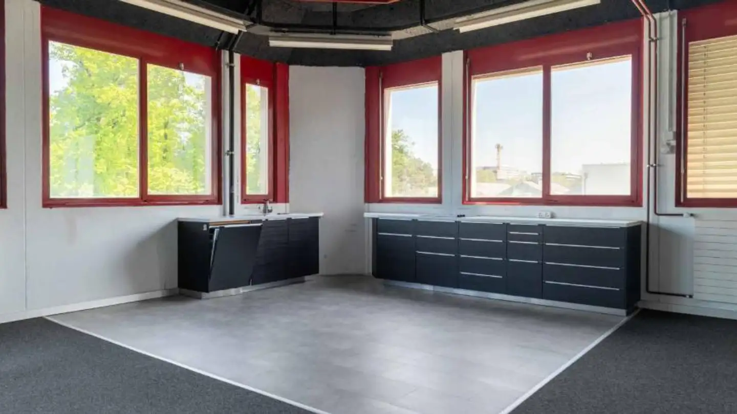 Commercial for rent - Chemin Du Grand-Puits 40, 1217 Meyrin - Photo 3