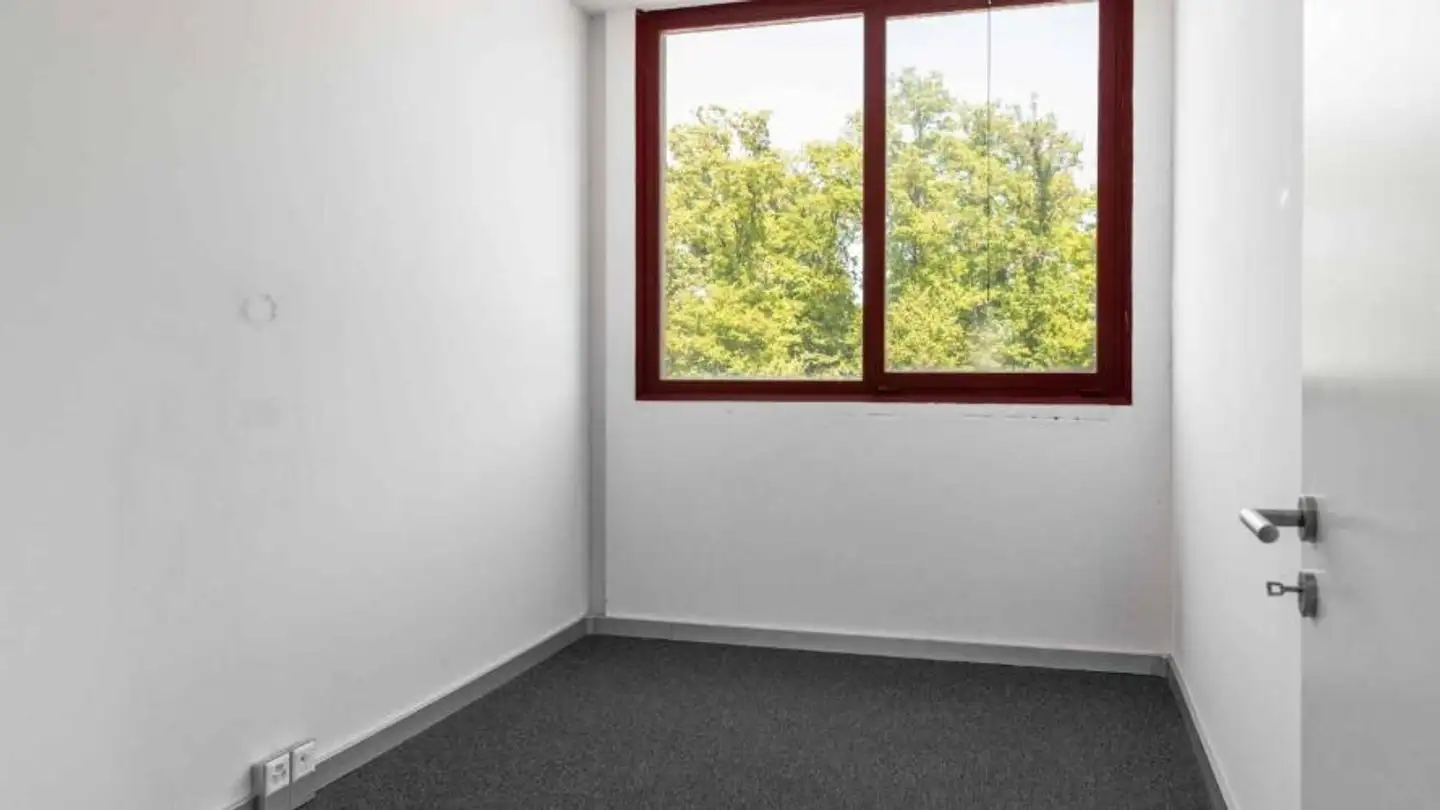 Commercial for rent - Chemin Du Grand-Puits 40, 1217 Meyrin - Photo 4