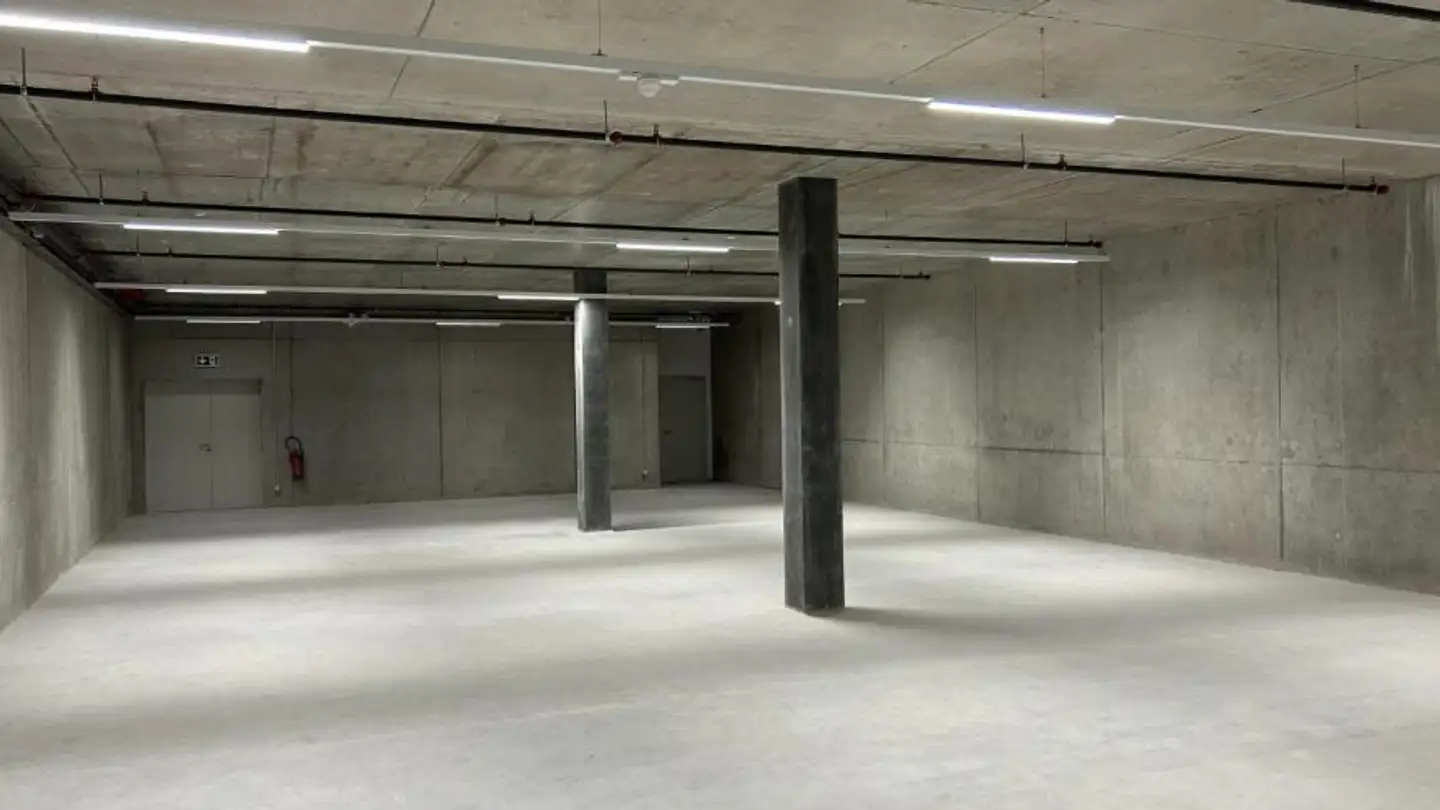 Commercial for rent - Route Des Fayards 282, 1290 Versoix - Photo 3