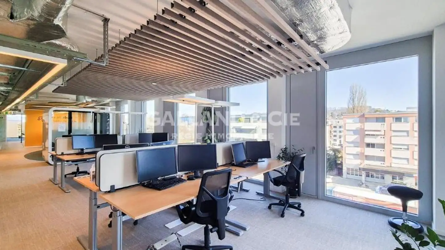 Spazio ufficio in affitto - Route Des Plaines-Du-Loup 55, 1018 Lausanne