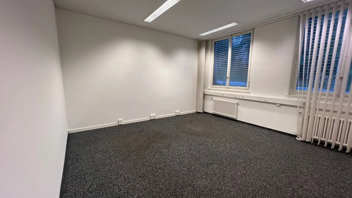 Commercial à louer - Tiergartenweg 1, 4710 Balsthal - Photo 2