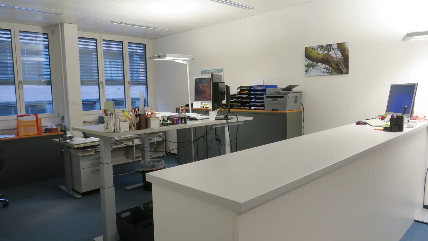 Spazio ufficio in affitto - Greifengasse 21, 4058 Basel - Foto 3