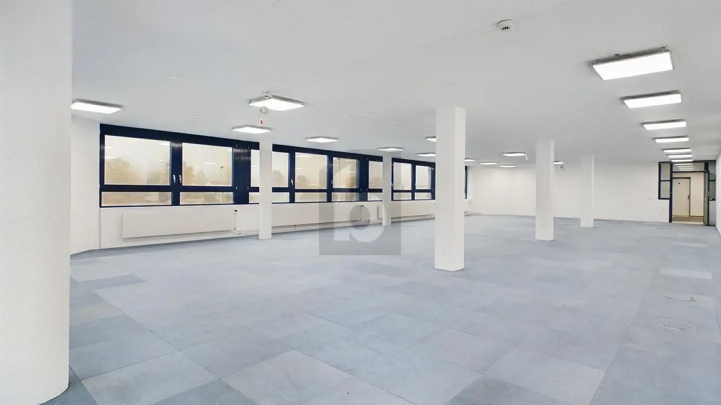 Spazio ufficio in affitto - 4528 Zuchwil - Foto 2
