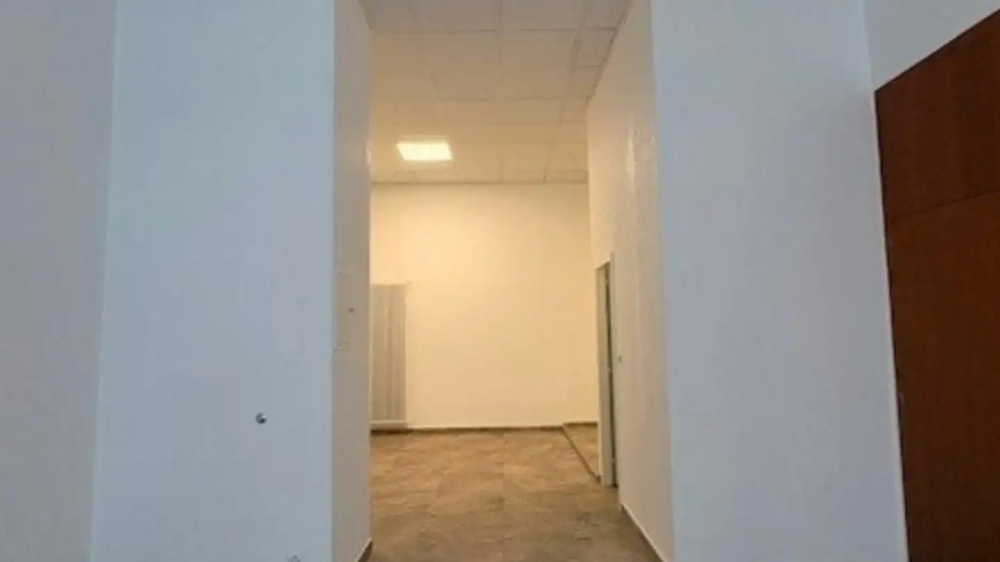 Magasin à louer - Rue Docteur-Alfred-Vincent, 1201 Genève - Photo 3